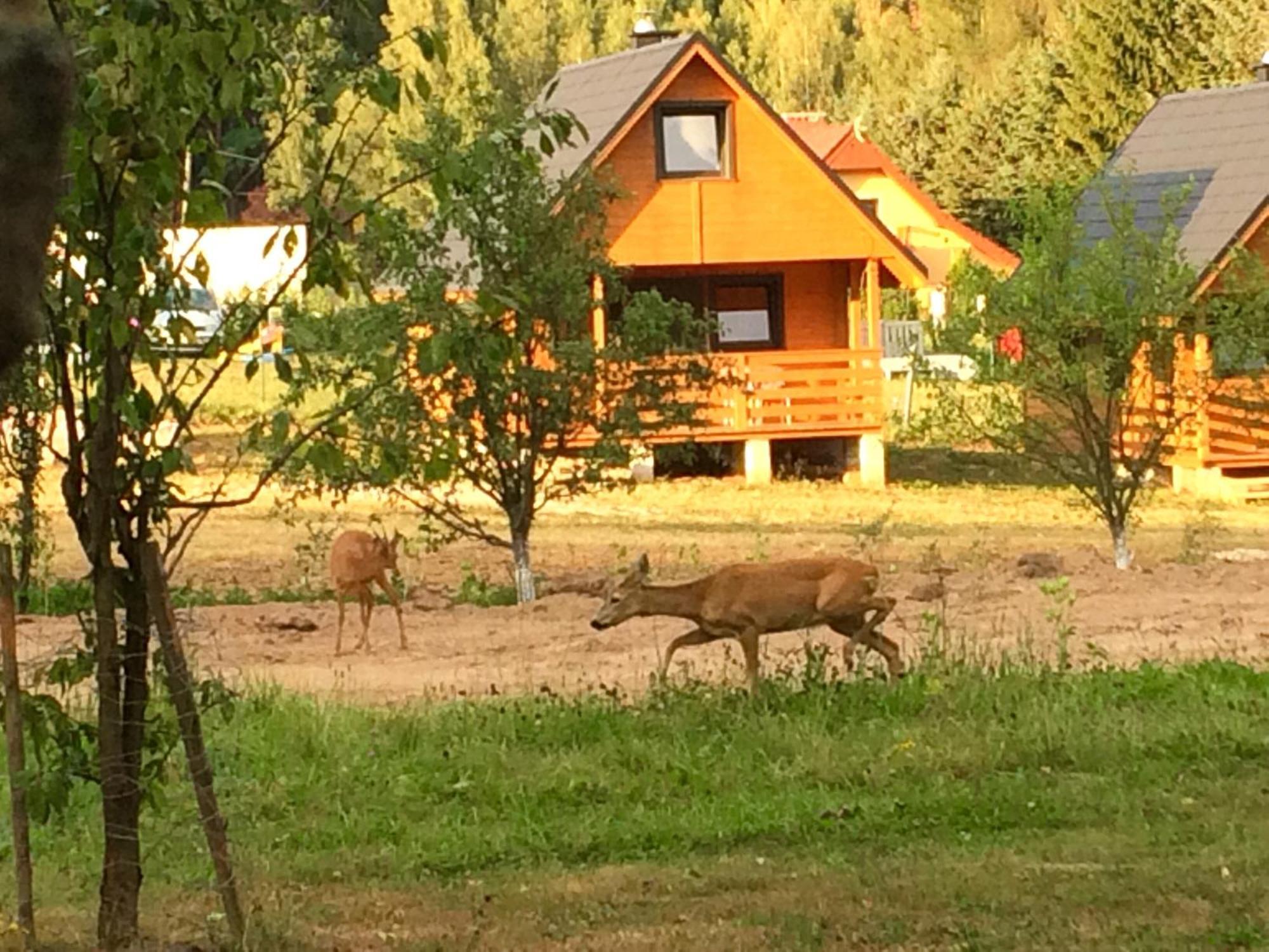 Domek Letniskowy Radkow Bagian luar foto